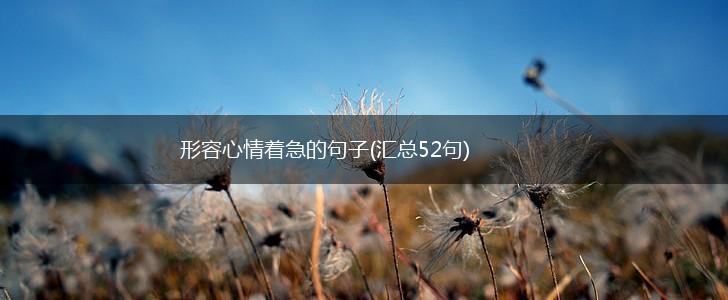 形容心情着急的句子(汇总52句),第1张
