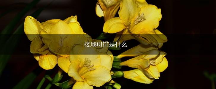 接地母排是什么,第1张