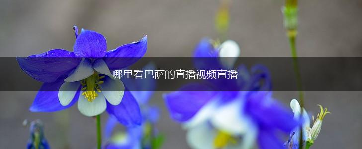 哪里看巴萨的直播视频直播,第1张
