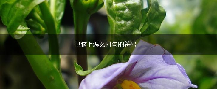 电脑上怎么打勾的符号,第1张