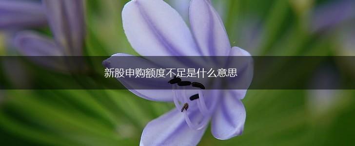 新股申购额度不足是什么意思,第1张