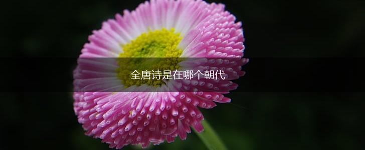 全唐诗是在哪个朝代,第1张