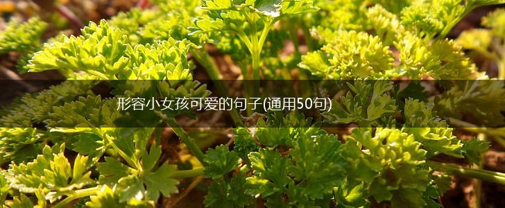 形容小女孩可爱的句子(通用50句),第1张