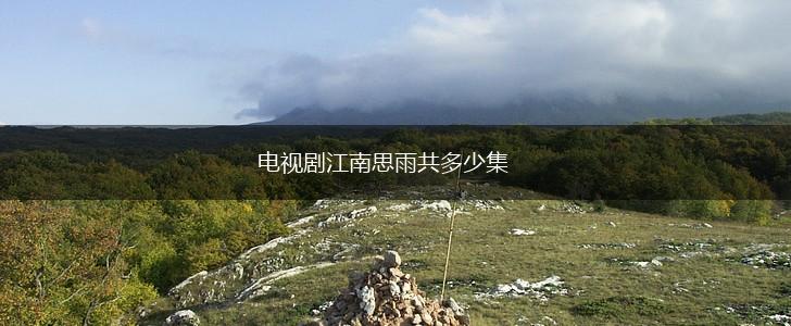 电视剧江南思雨共多少集,第1张