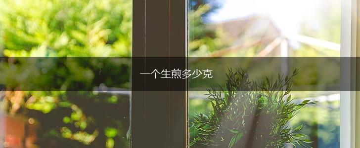 一个生煎多少克,第1张