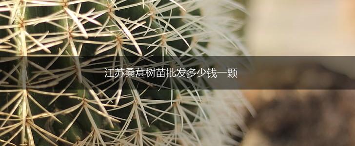 江苏桑葚树苗批发多少钱一颗,第1张