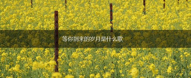 等你到来的岁月是什么歌,第1张