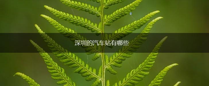 深圳的汽车站有哪些,第1张