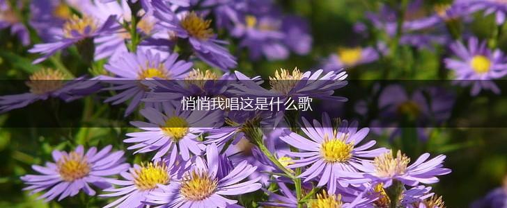 悄悄我唱这是什么歌,第1张
