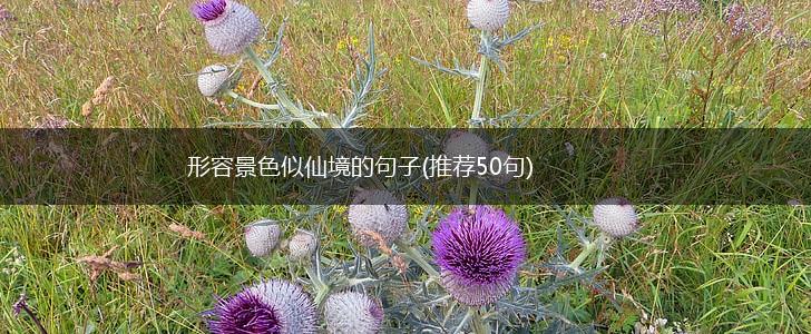 形容景色似仙境的句子(推荐50句),第1张