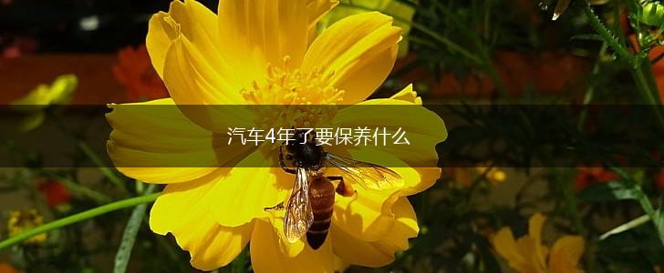 汽车4年了要保养什么,第1张