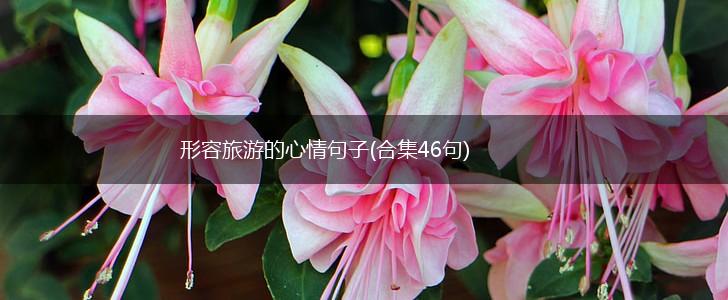 形容旅游的心情句子(合集46句),第1张