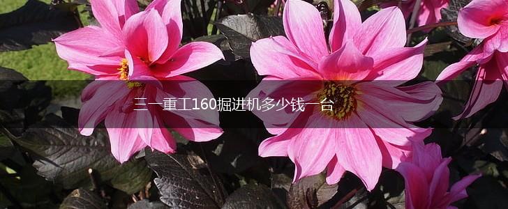 三一重工160掘进机多少钱一台,第1张