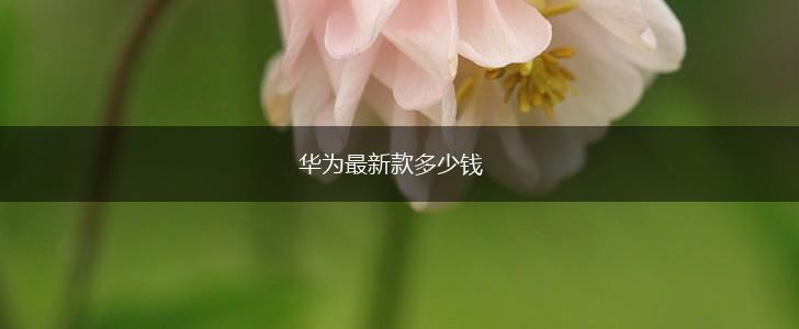 华为最新款多少钱,第1张