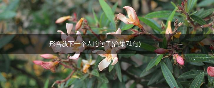 形容放下一个人的句子(合集71句),第1张
