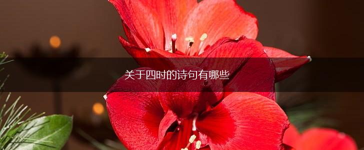 关于四时的诗句有哪些,第1张