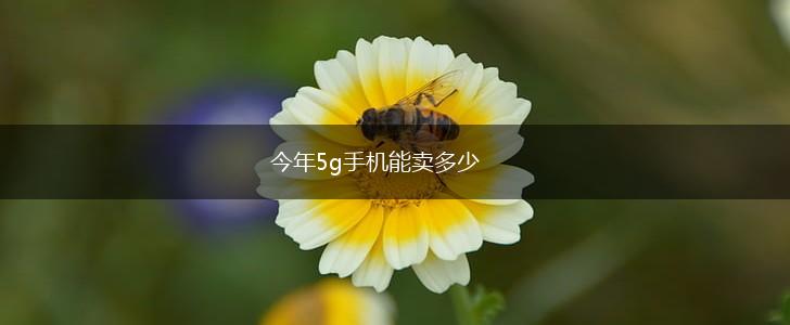 今年5g手机能卖多少,第1张