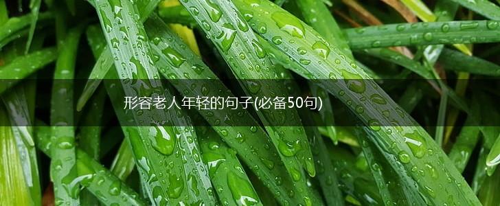 形容老人年轻的句子(必备50句),第1张