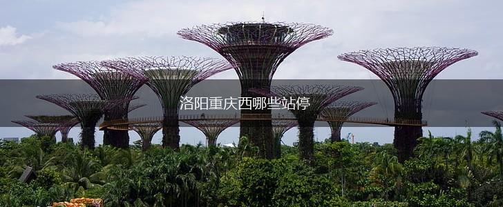 洛阳重庆西哪些站停,第1张