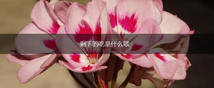 剩下的吃是什么歌,第1张