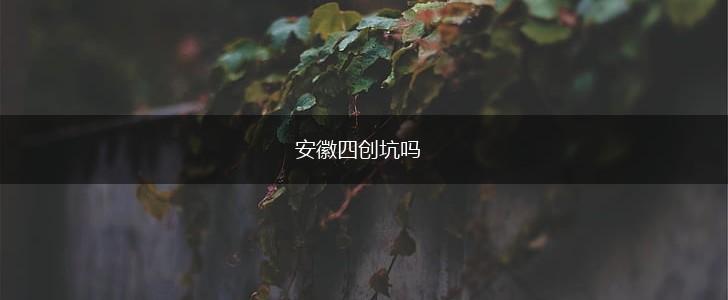 安徽四创坑吗,第1张