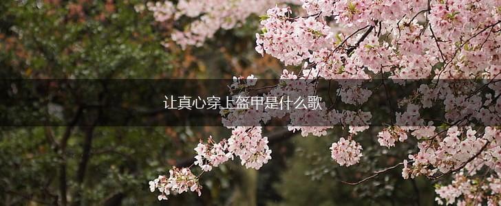 让真心穿上盔甲是什么歌,第1张