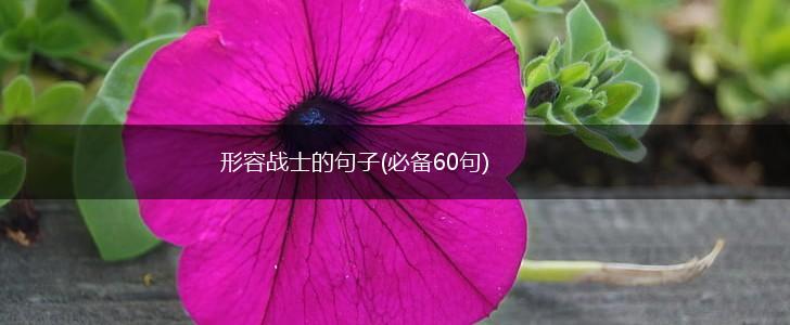 形容战士的句子(必备60句),第1张