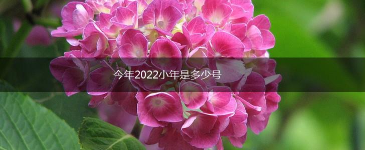 今年2022小年是多少号,第1张