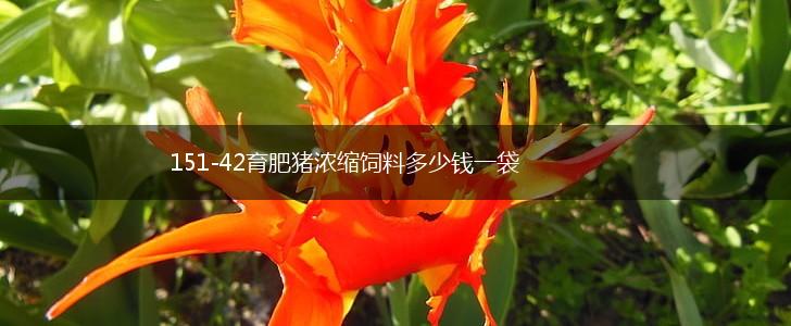151-42育肥猪浓缩饲料多少钱一袋,第1张