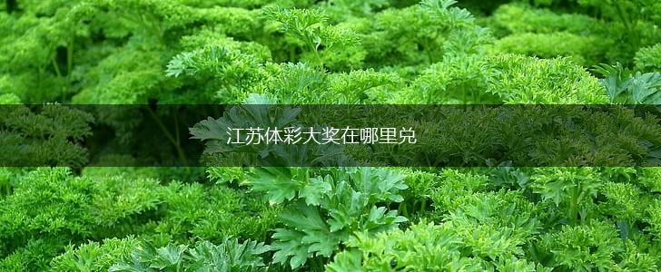江苏体彩大奖在哪里兑,第1张