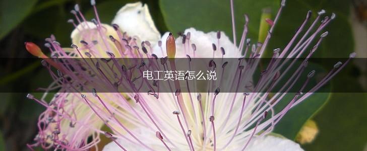 电工英语怎么说,第1张