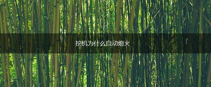 挖机为什么自动熄火,第1张