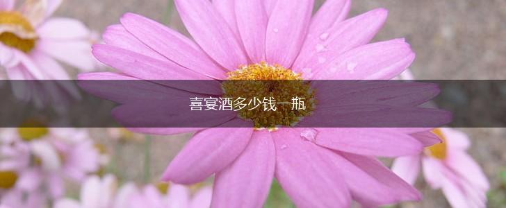 喜宴酒多少钱一瓶,第1张