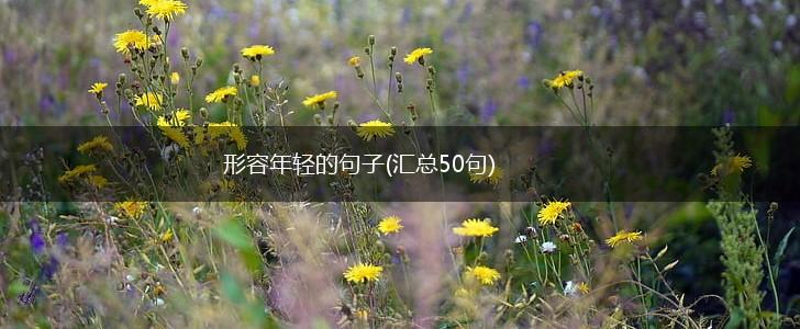 形容年轻的句子(汇总50句),第1张