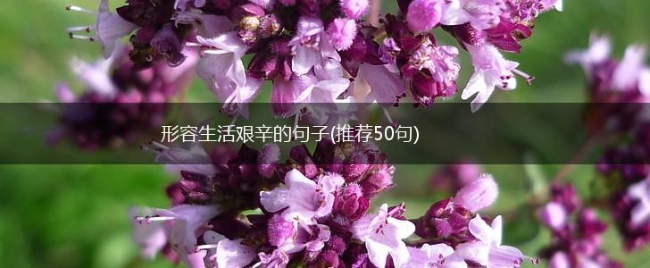 形容生活艰辛的句子(推荐50句),第1张