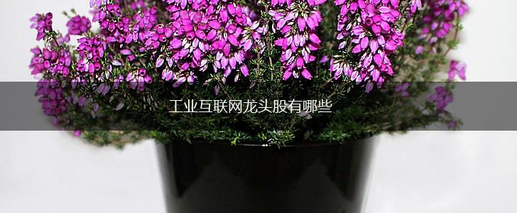 工业互联网龙头股有哪些,第1张