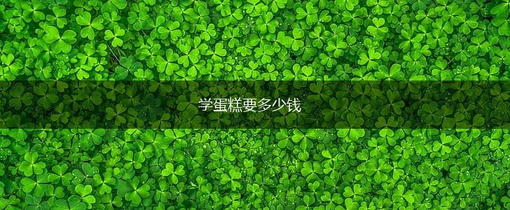 学蛋糕要多少钱,第1张