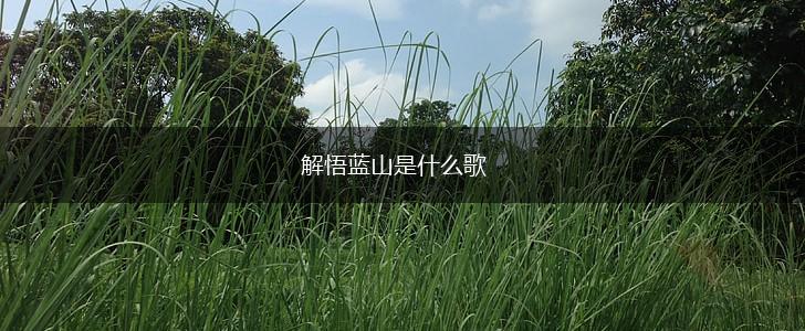 解悟蓝山是什么歌,第1张