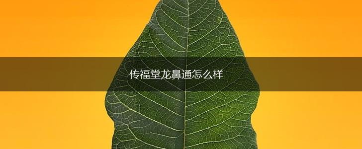 传福堂龙鼻通怎么样,第1张