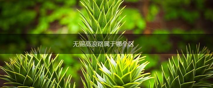 无锡高浪路属于哪个区,第1张