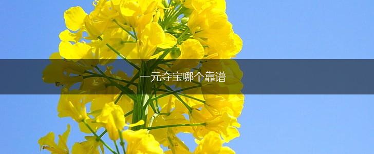一元夺宝哪个靠谱,第1张