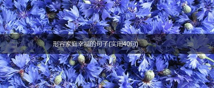 形容家庭幸福的句子(实用40句),第1张