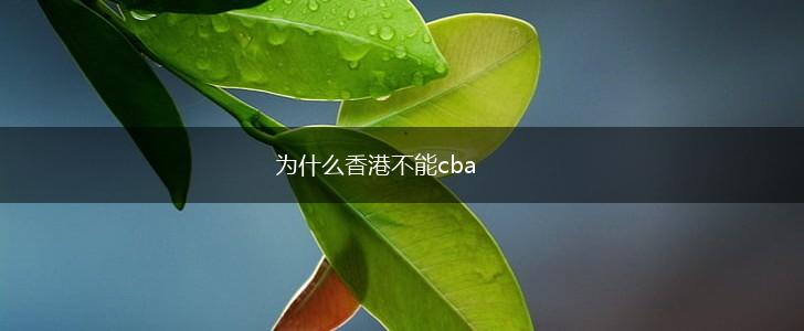 为什么香港不能cba,第1张