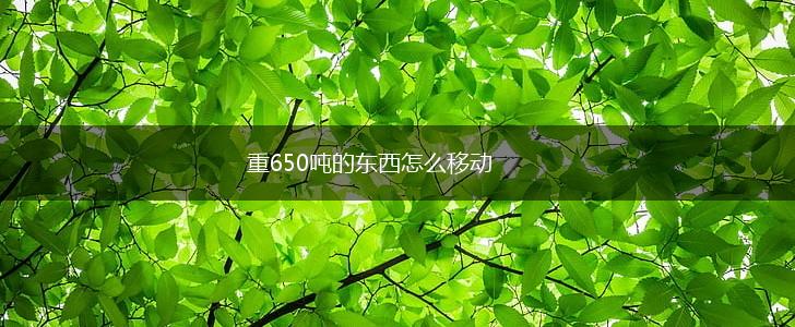 重650吨的东西怎么移动,第1张