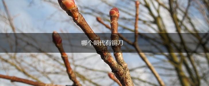 哪个朝代有铜刀,第1张