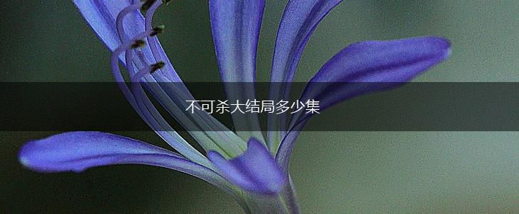 不可杀大结局多少集,第1张