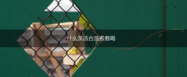 什么茶适合蒸煮着喝,第1张