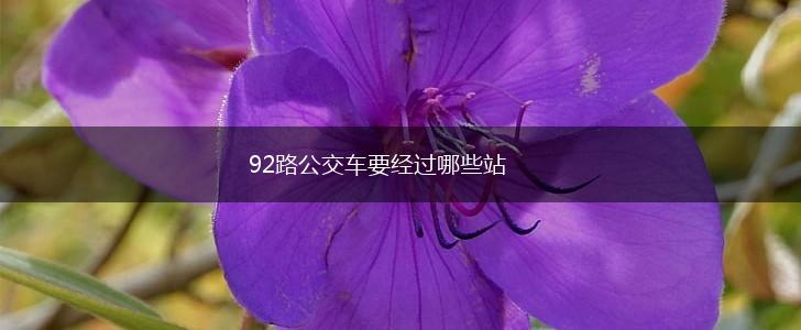 92路公交车要经过哪些站,第1张
