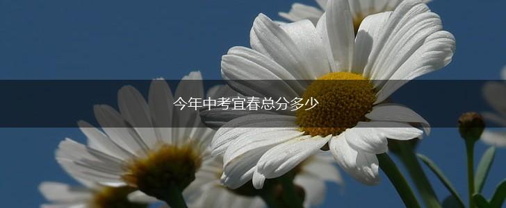 今年中考宜春总分多少,第1张