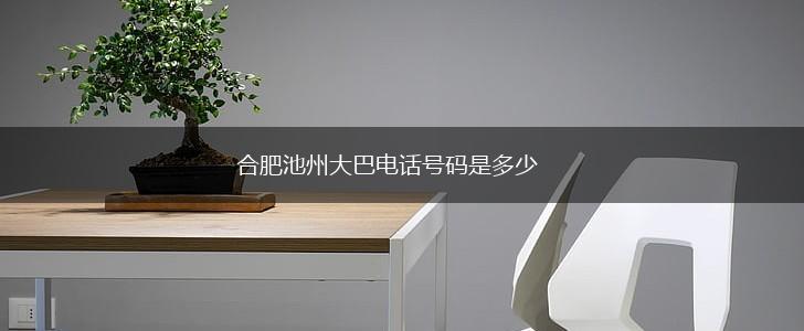 合肥池州大巴电话号码是多少,第1张